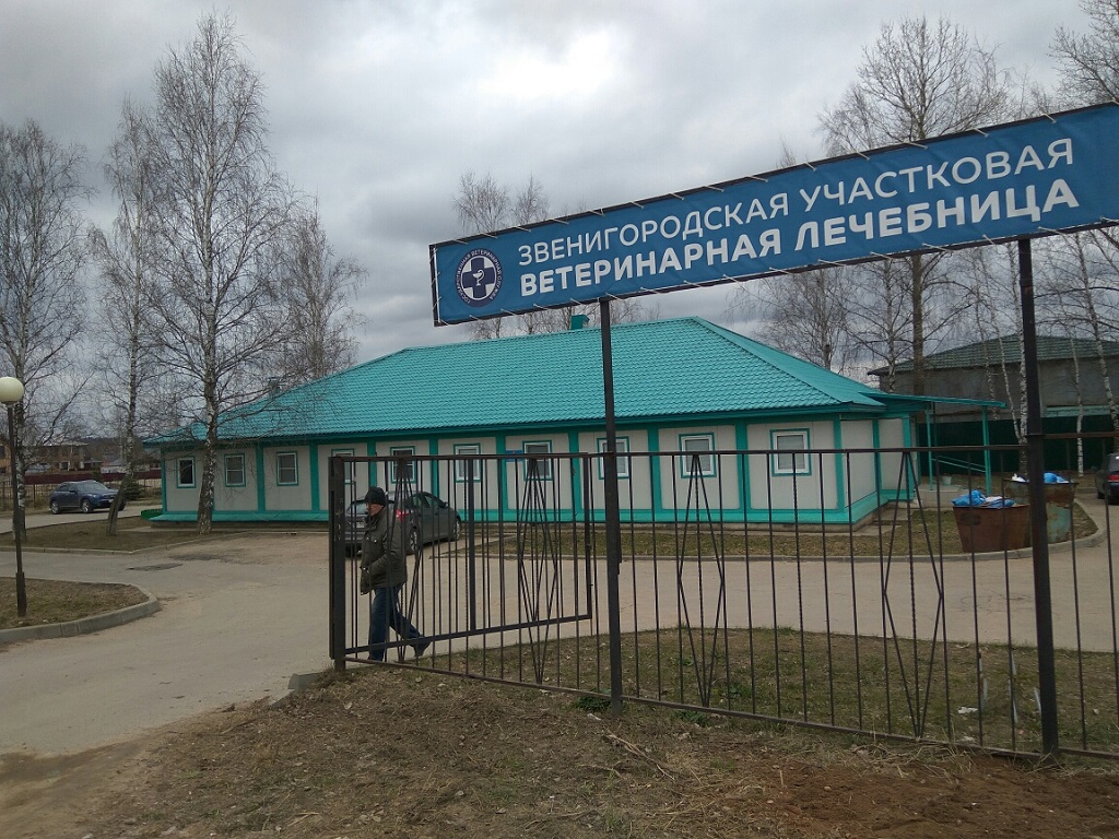Звенигородская участковая ветеринарная лечебница